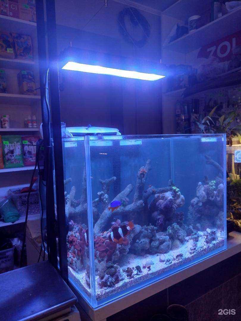 Отзывы на компанию Olegator в г. Саратов c фото