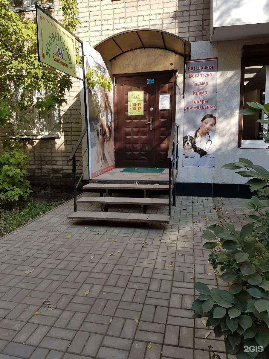 Отзывы на компанию ЛапУшки в Смоленске c фото