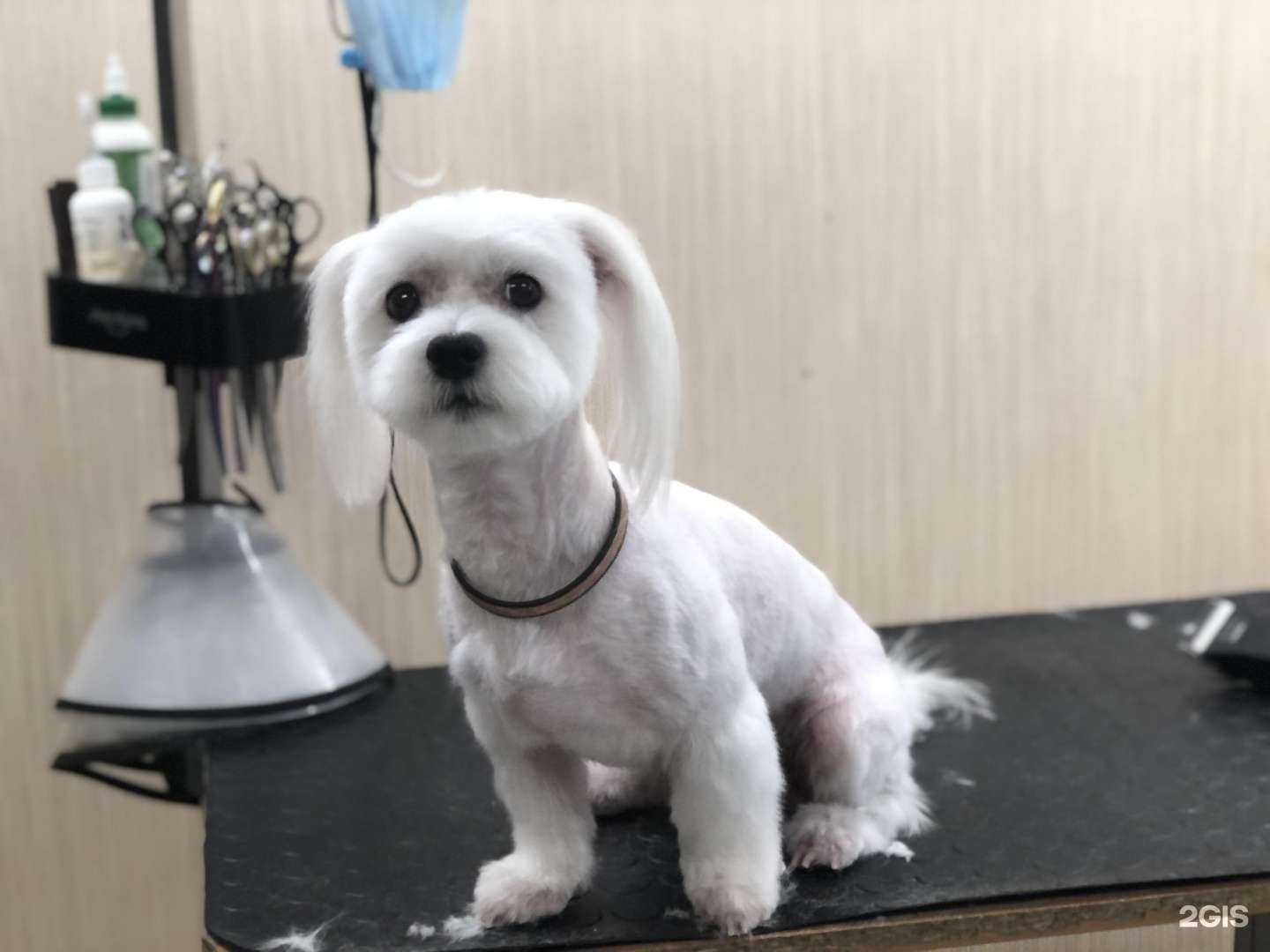 Отзывы на компанию Тинки Винки в Краснодаре c фото