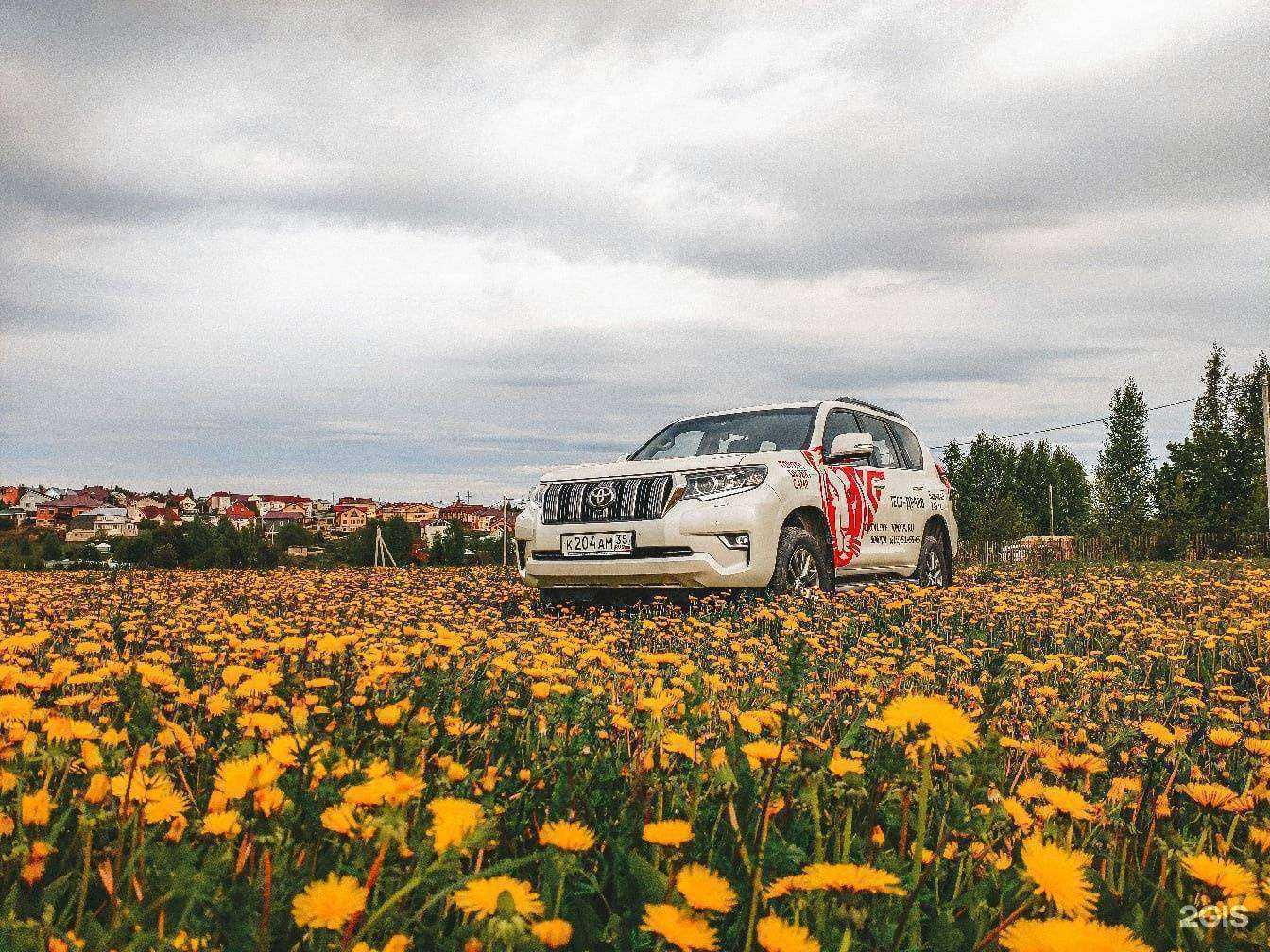 Отзывы на компанию Тойота центр Вологда в г. Вологда c фото
