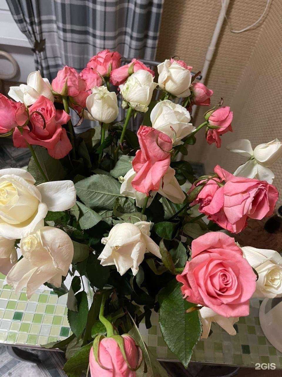 Отзывы на компанию Самцветок №1 в Самаре c фото