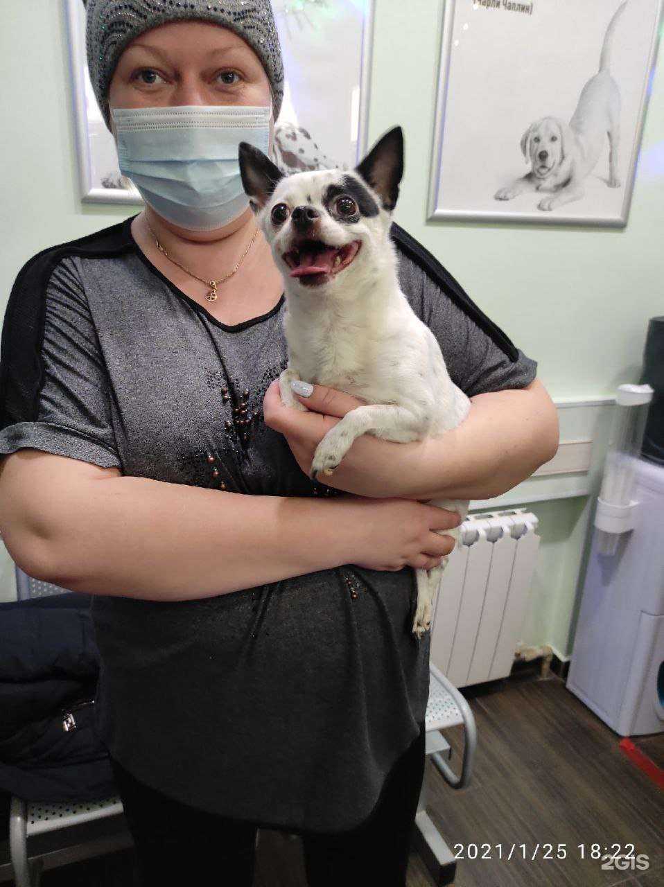 Отзывы на компанию Ветлюкс в Нижнем Новгороде c фото