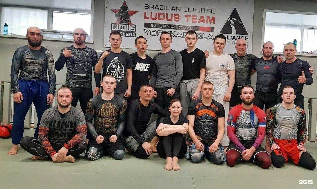 Отзывы на компанию Ludus Alliance team в Йошкар-Оле c фото