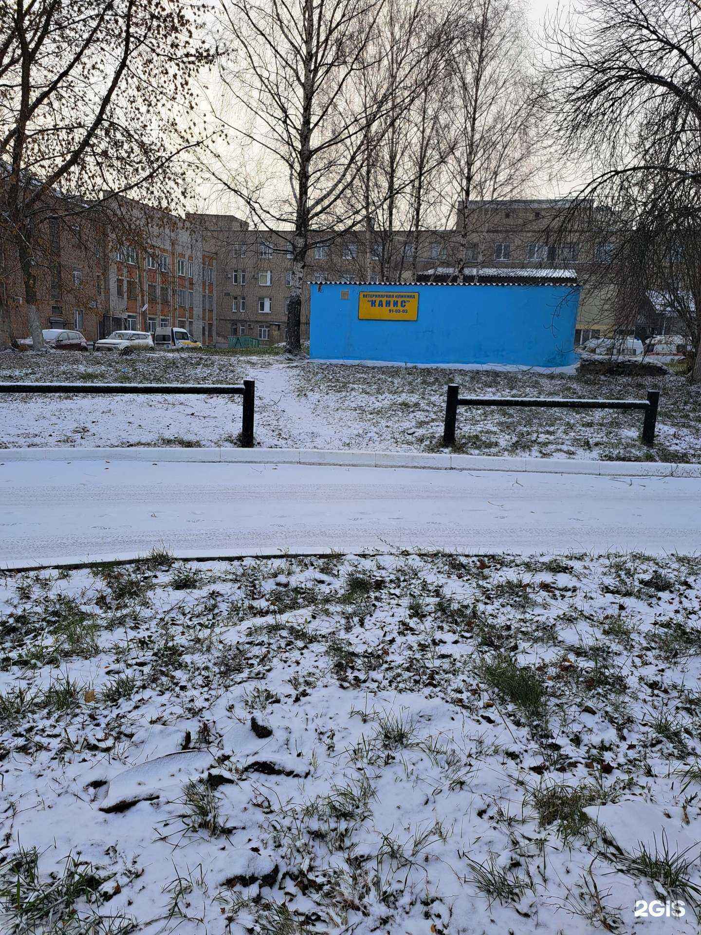 Отзывы на компанию Канис в Ярославле c фото