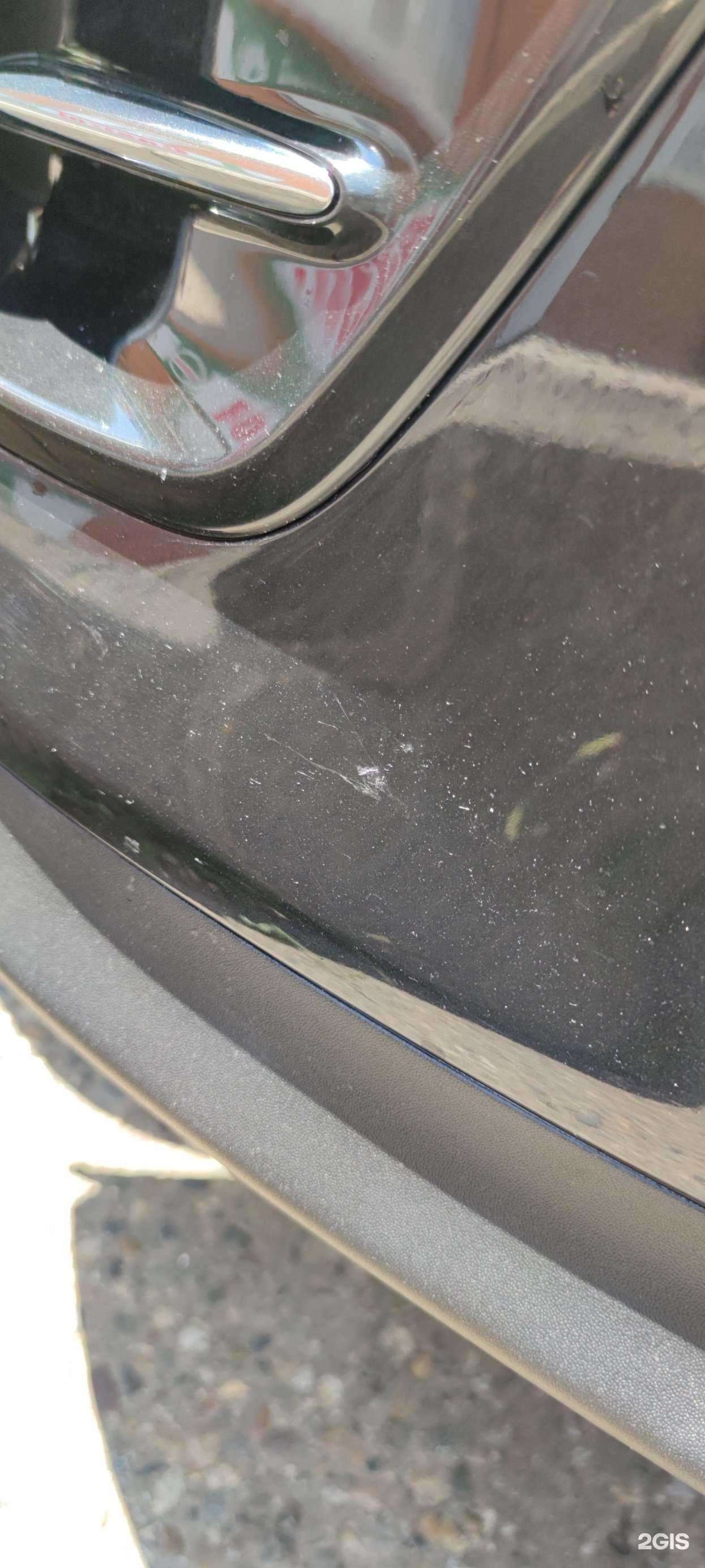 Отзывы на компанию Дельфин в Ставрополе c фото