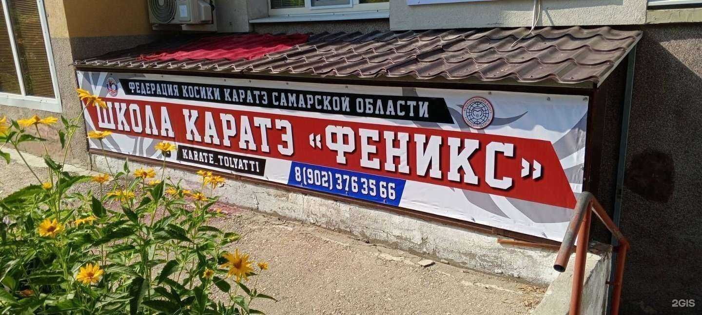Отзывы на компанию Феникс в Тольятти c фото