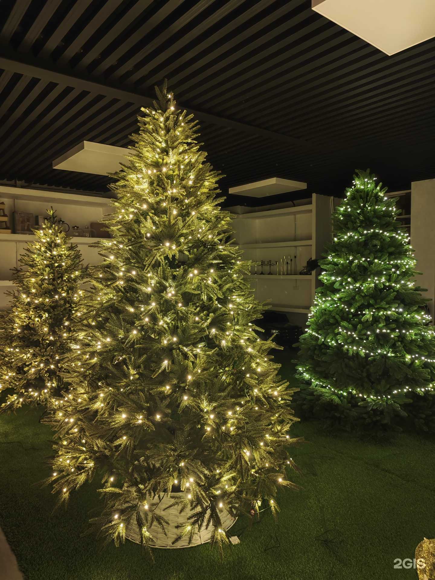 Отзывы на компанию Ёлки Якутск в Якутске c фото