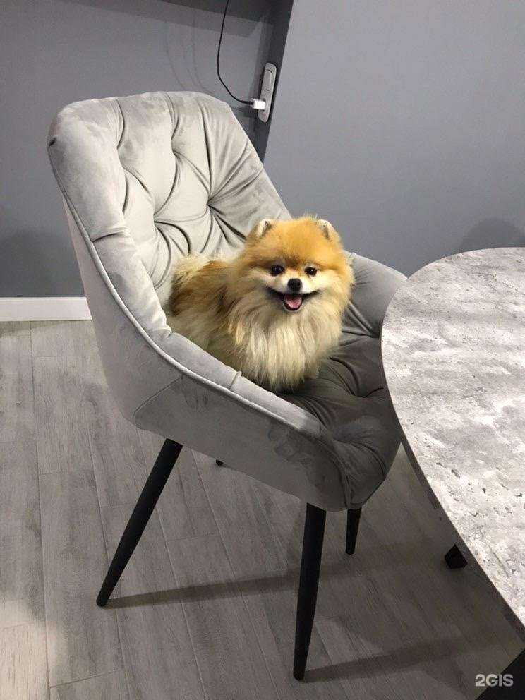 Отзывы на компанию Expertmebel в Ижевске c фото