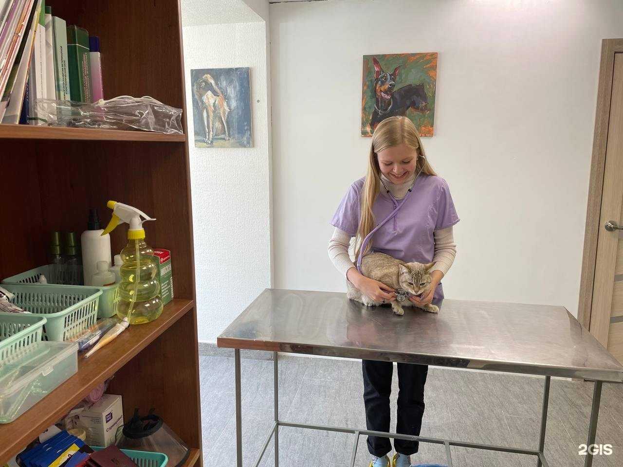 Отзывы на компанию МаргошаВет в Саратове c фото
