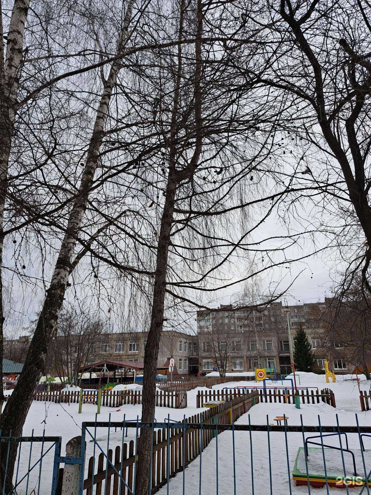 Отзывы на компанию Детский сад №203 в Ярославле c фото