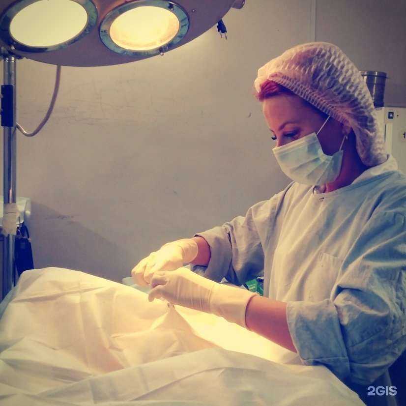 Отзывы на компанию КрасВетМедика в Красноярске c фото