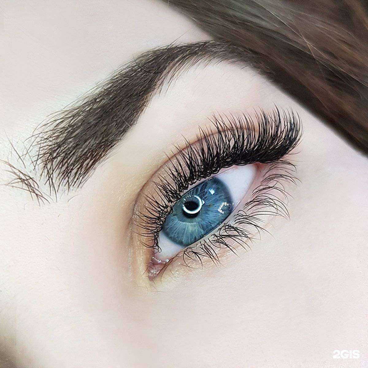 Отзывы на компанию Lash Академия Елены Водиловой в г. Кемерово c фото