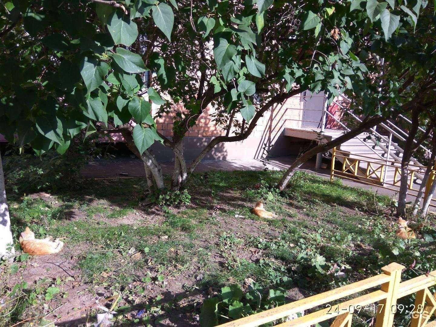 Отзывы на компанию Москерам в Нижнем Новгороде c фото - фотография 2 из 2