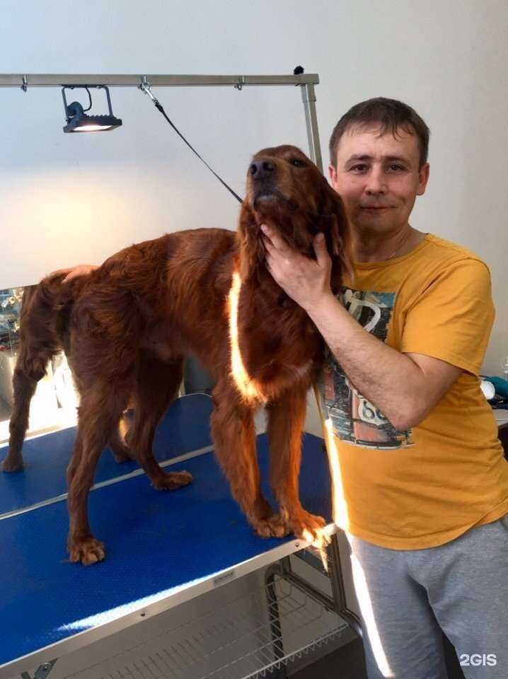 Отзывы на компанию РыбкиЛапки в Звенигороде c фото