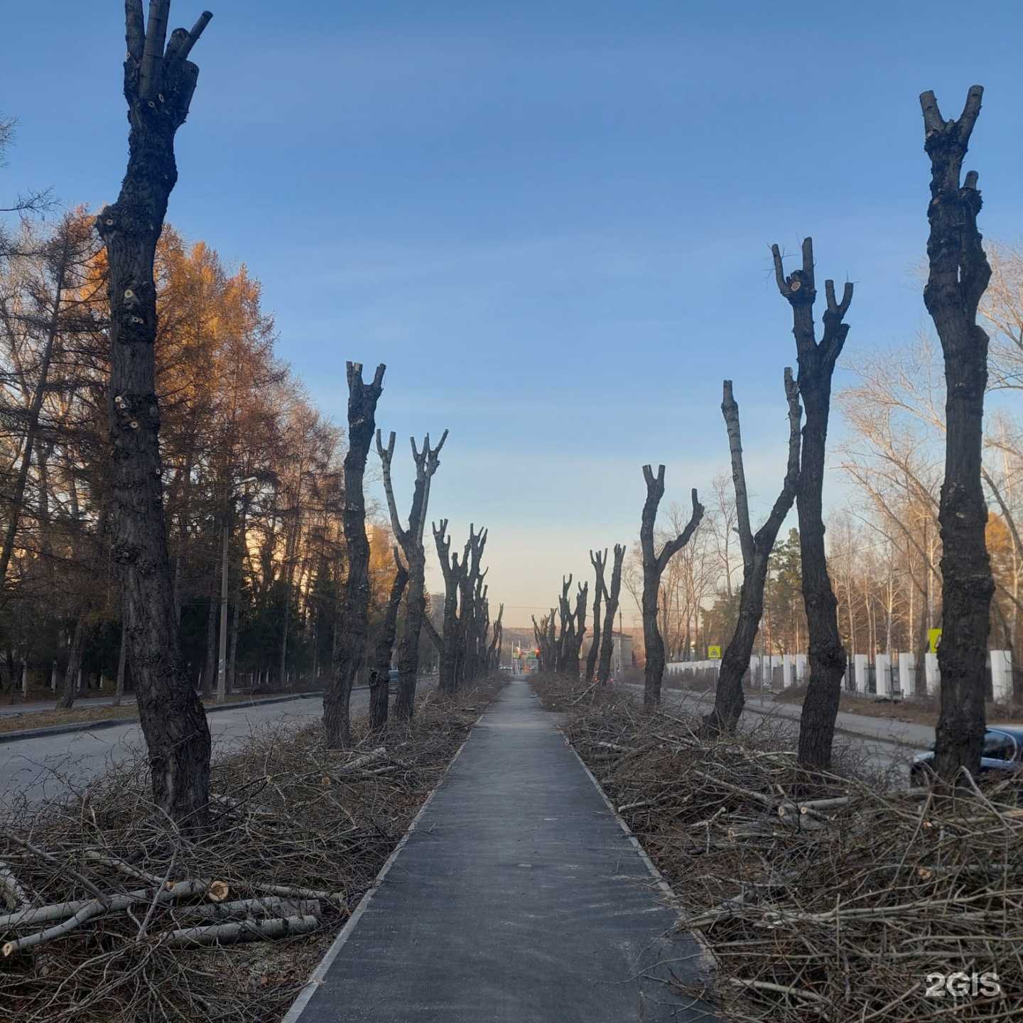 Отзывы на компанию Стим в Новосибирске c фото