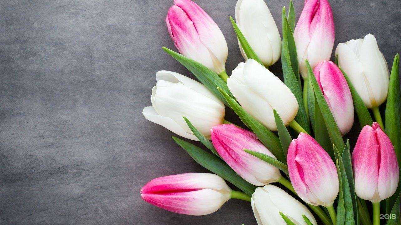 Отзывы на компанию Бин Кемерово сервис в Кемерове c фото