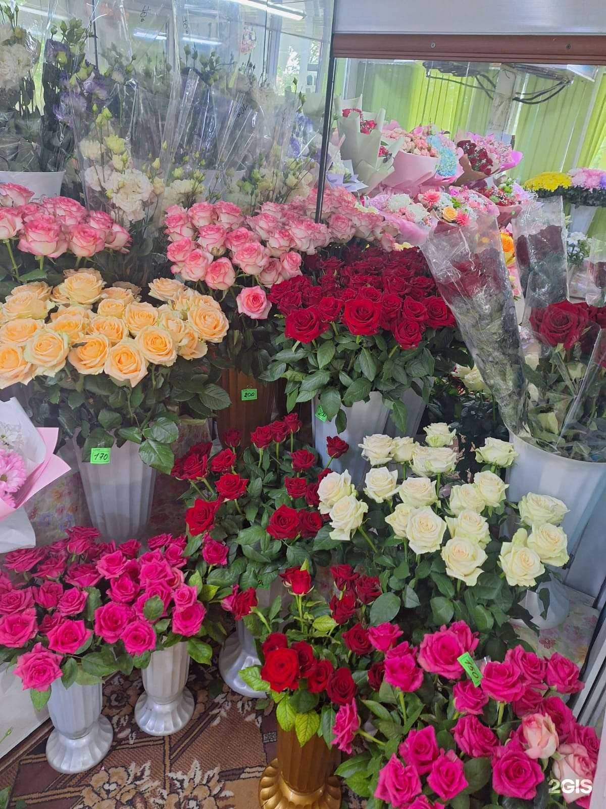 Отзывы на компанию Маргаритка в Ессентуках c фото