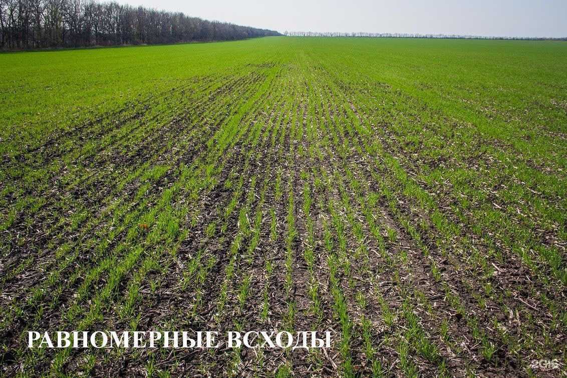 Отзывы на компанию Скиф в Омске c фото