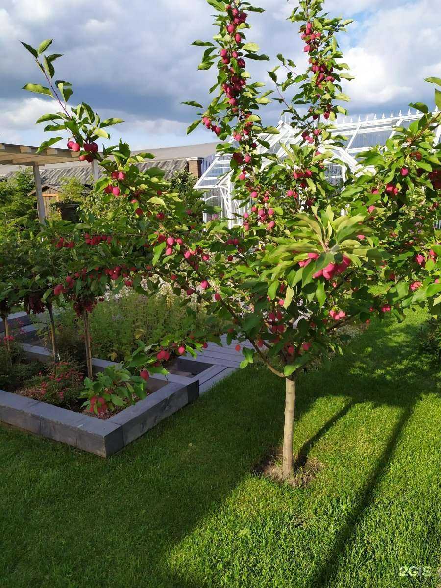 Отзывы на компанию Огород в г. Ярославль c фото