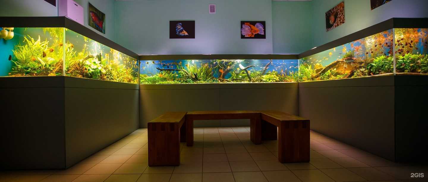 Отзывы на компанию Акванариум в г. Рязань c фото