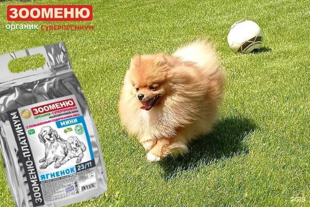 Отзывы на компанию Зооменю в Самаре c фото