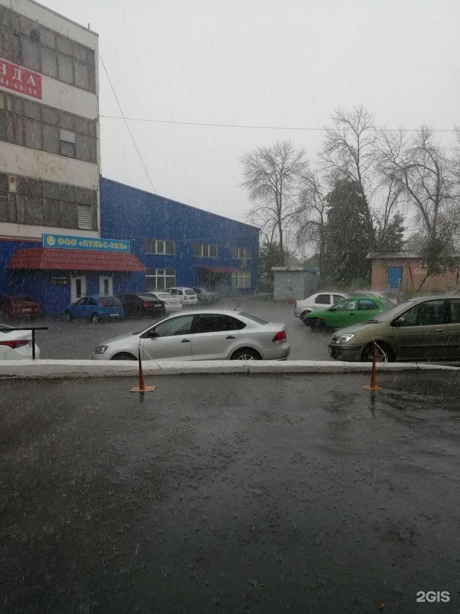 Отзывы на компанию Зоомагазин в г. Орёл c фото