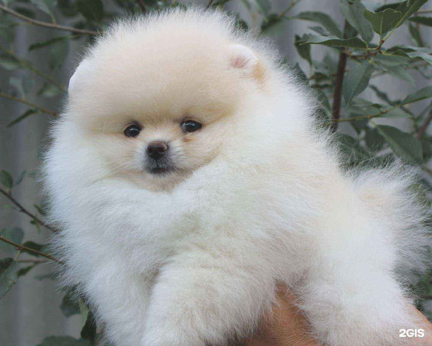 Отзывы на компанию Сибиряк в Бийске c фото