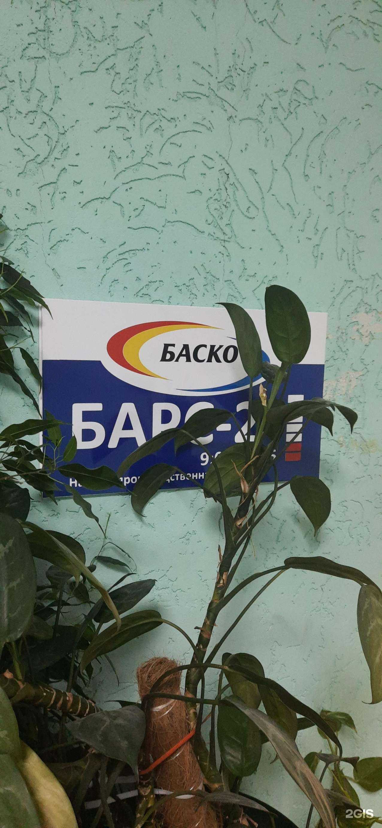 Отзывы на компанию Баско в Новосибирске c фото