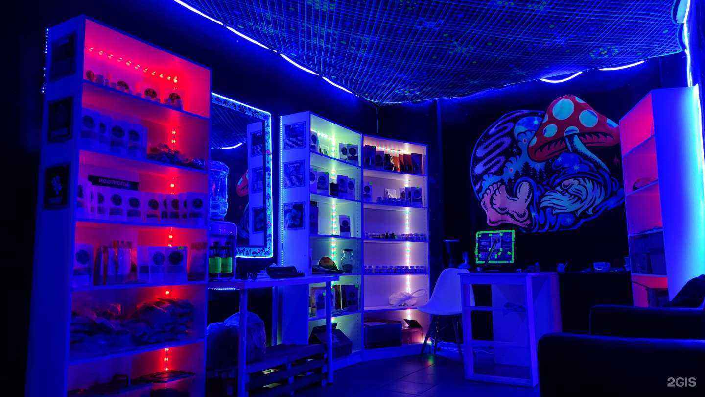 Отзывы на компанию Entheogen Project в Екатеринбурге c фото