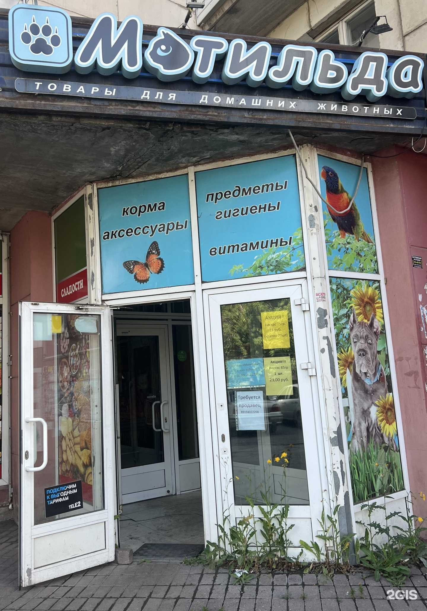 Отзывы на компанию Матильда в Магнитогорске c фото