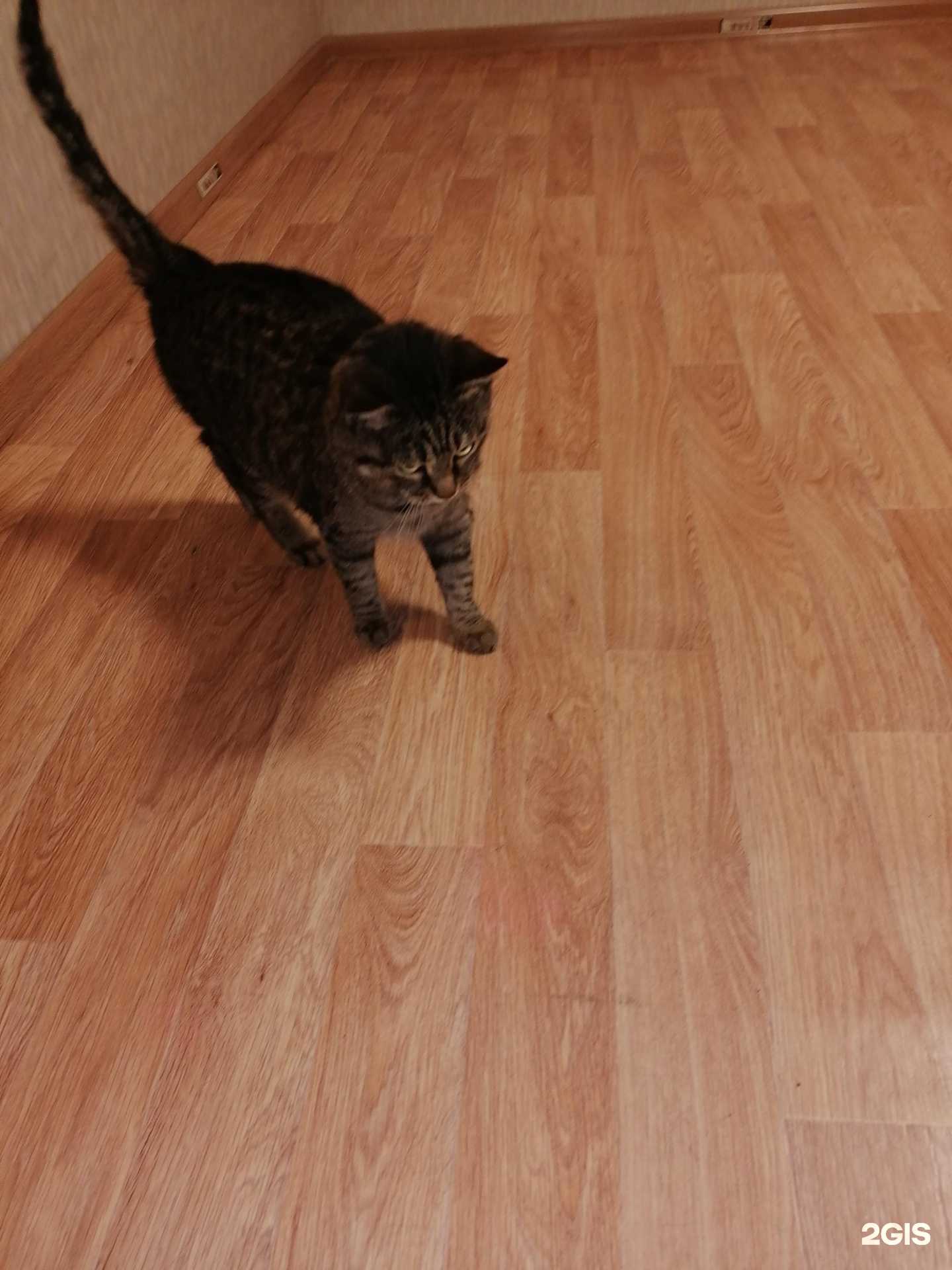 Отзывы на компанию Мастерская по ремонту обуви, сумок и чемоданов в г. Норильск c фото