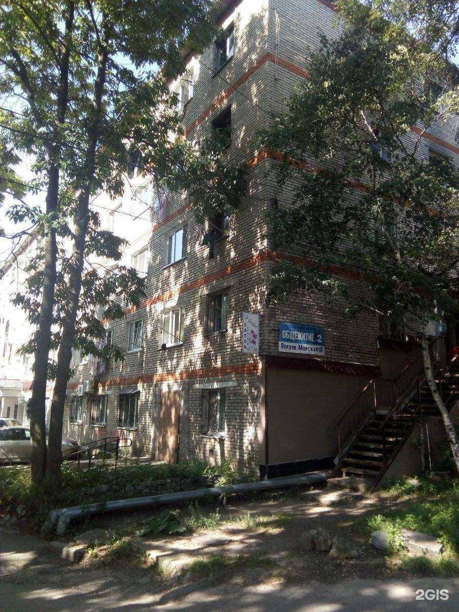 Отзывы на компанию Джи Ви Эс Дентал в Находке c фото - фотография 2 из 2