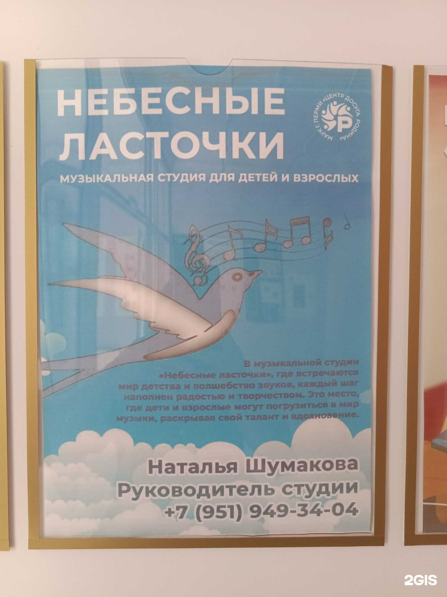 Отзывы на компанию Небесные ласточки в Перми c фото