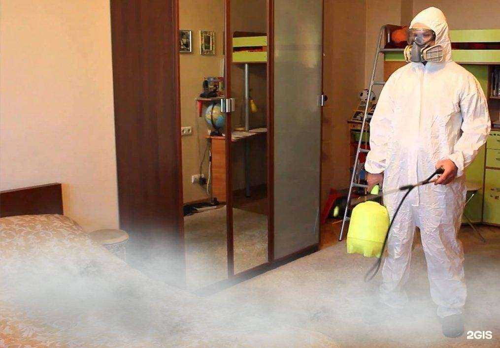 Отзывы на компанию Дез-Профи в Саратове c фото