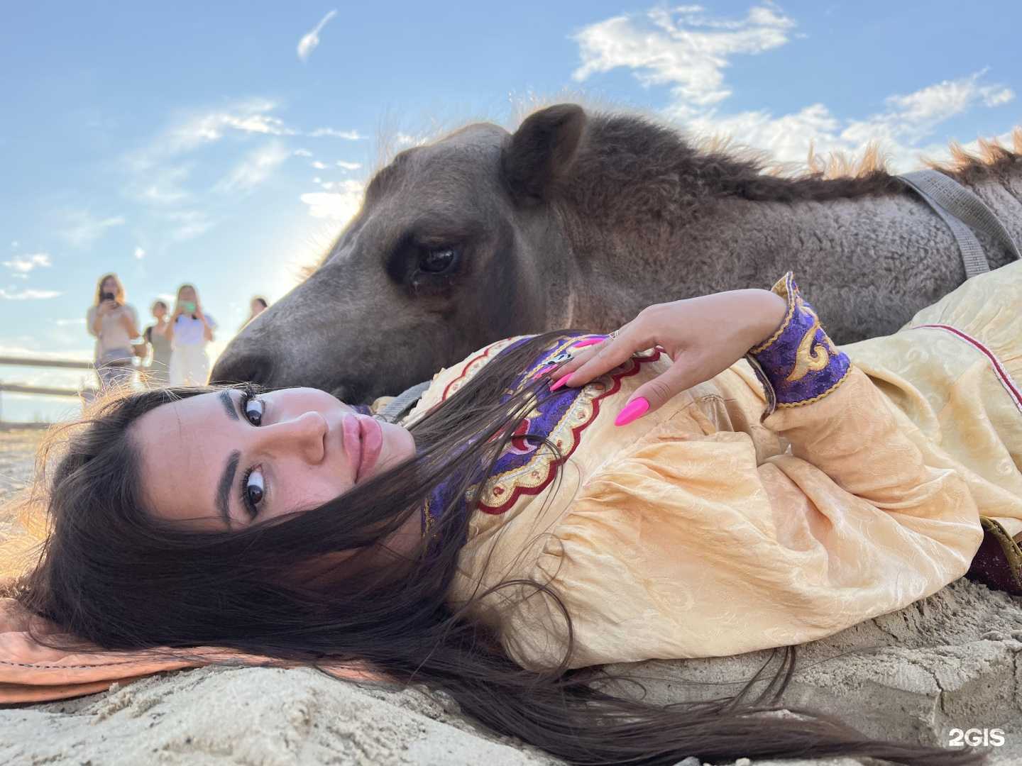 Отзывы на компанию Верблюжий остров в г. Элиста c фото