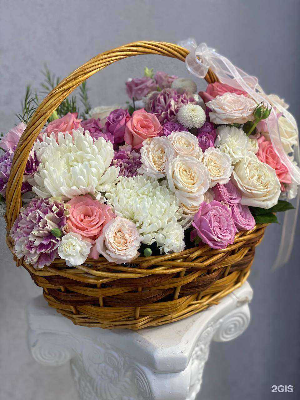 Отзывы на компанию Melissa в г. Чита c фото