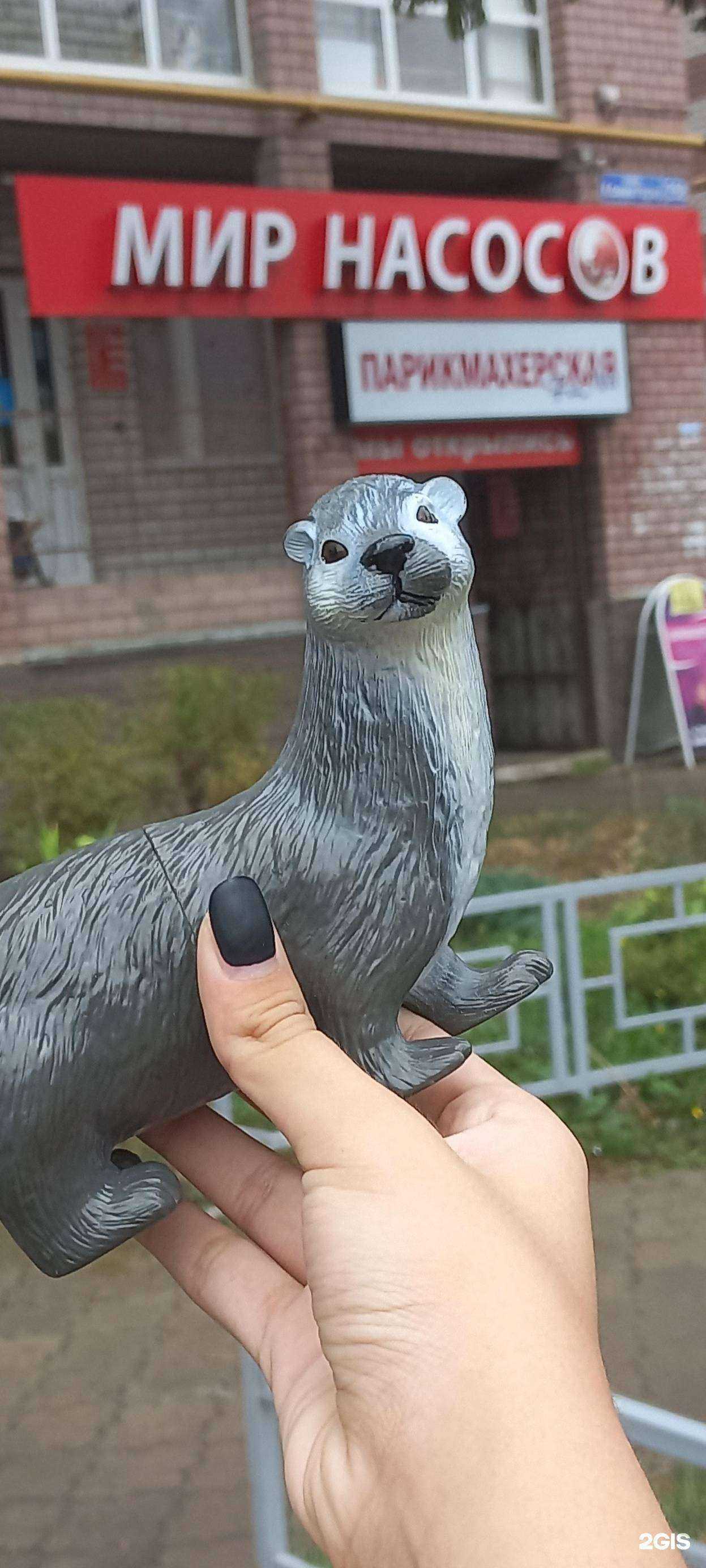 Отзывы на компанию МИР НАСОСОВ в г. Нижний Новгород c фото