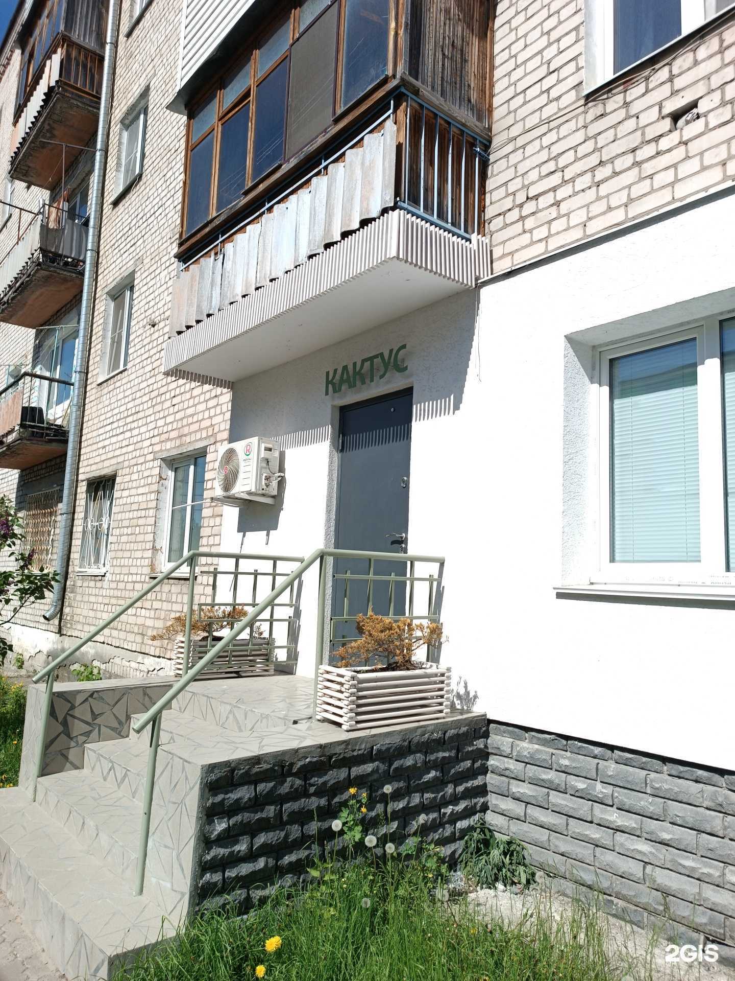 Отзывы на компанию Кактус в г. Бор c фото