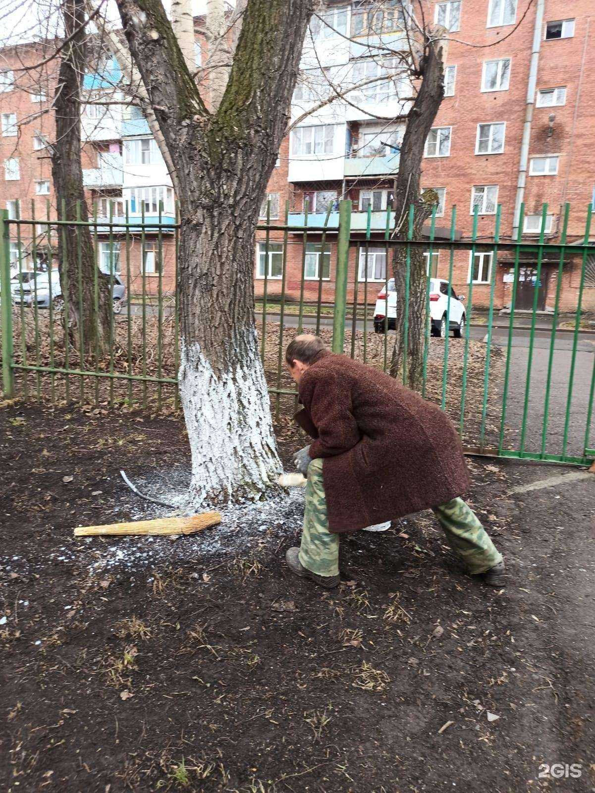 Отзывы на компанию Детский сад развивающего вида №128 в г. Кемерово c фото