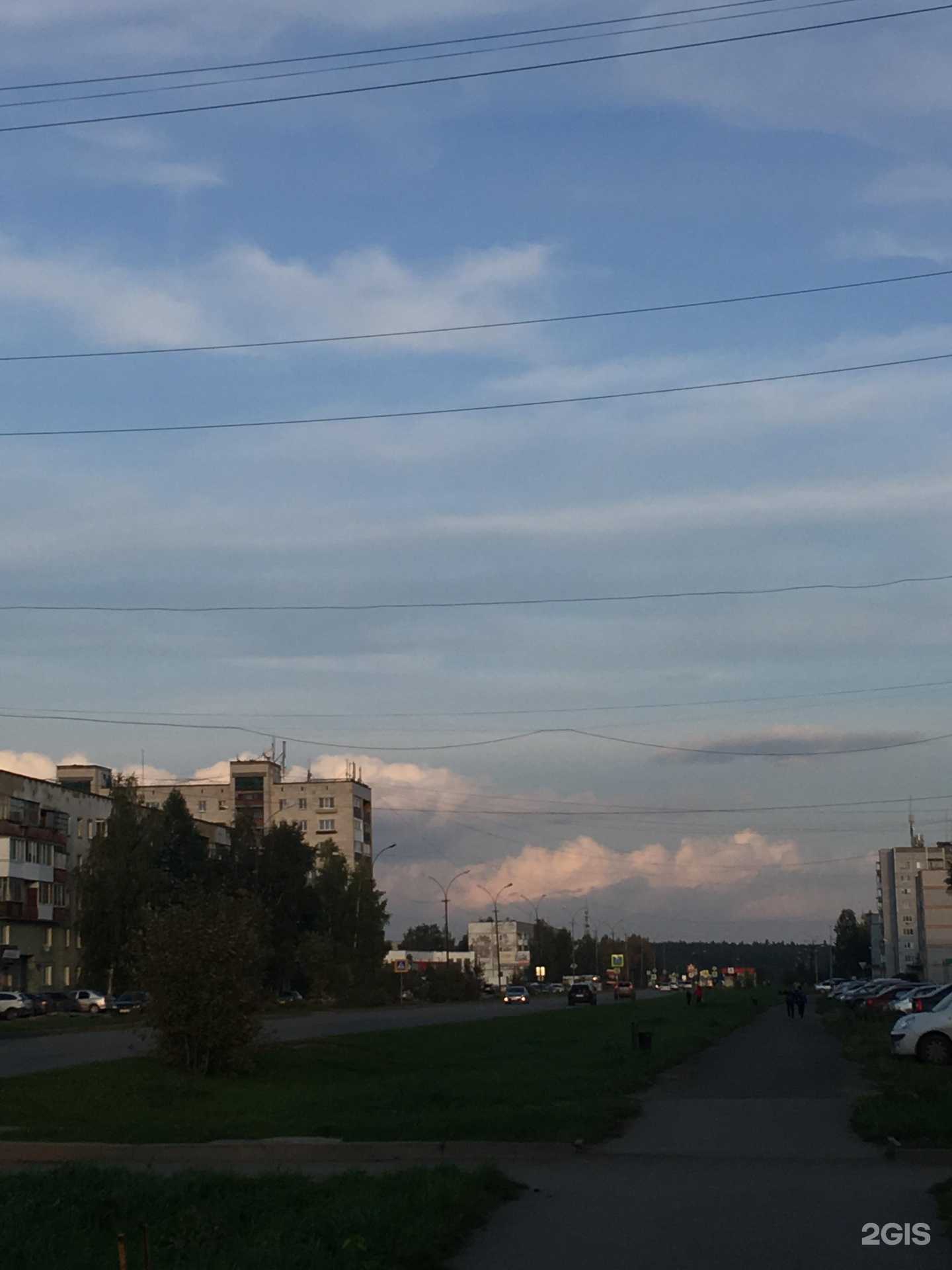 Отзывы на компанию Вита Экспресс в Верхней Салде c фото - фотография 2 из 2