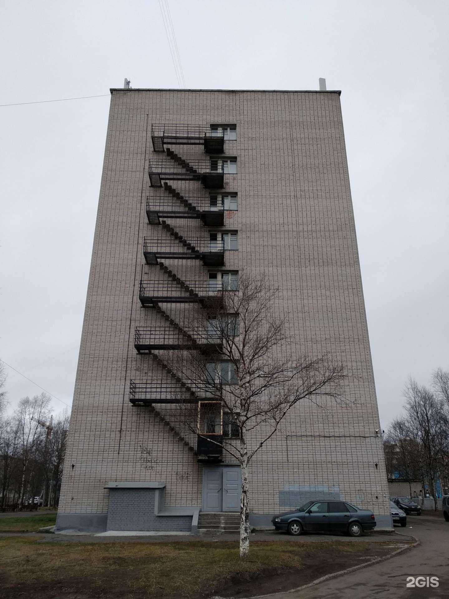 Отзывы на компанию Лапочка в Северодвинске c фото - фотография 2 из 2