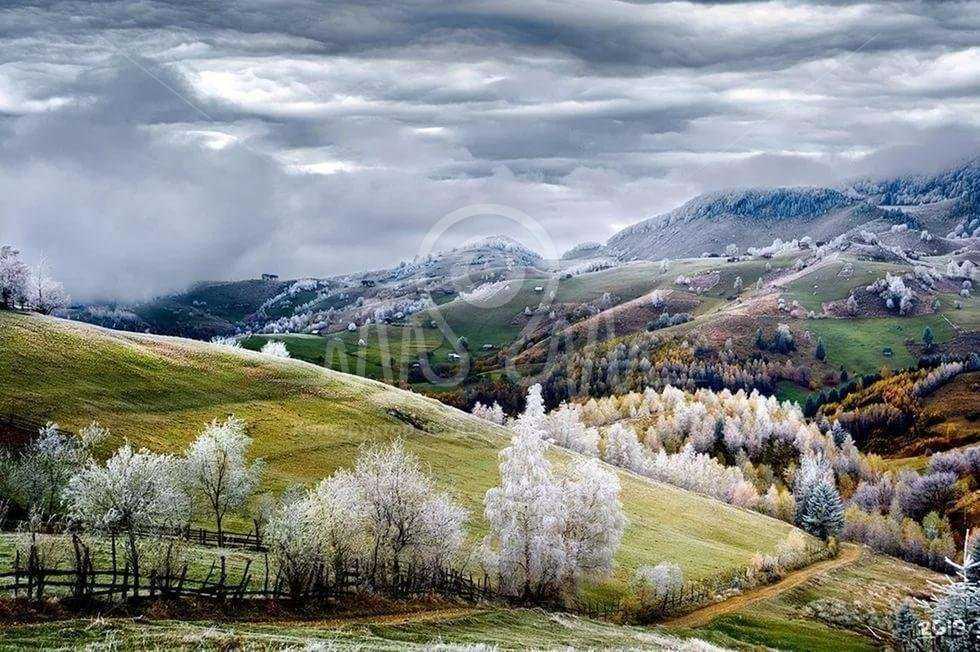 Отзывы на компанию Кот и клевер в г. Волгоград c фото