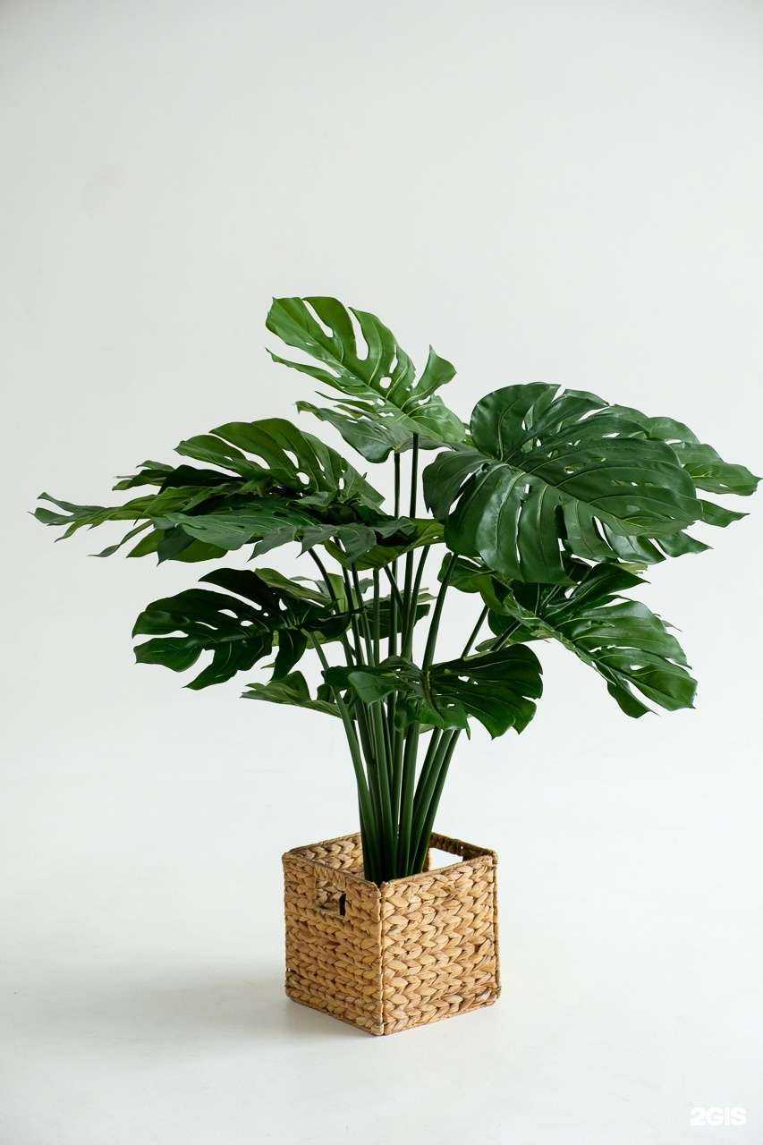 Отзывы на компанию Фабрика в г. Сыктывкар c фото