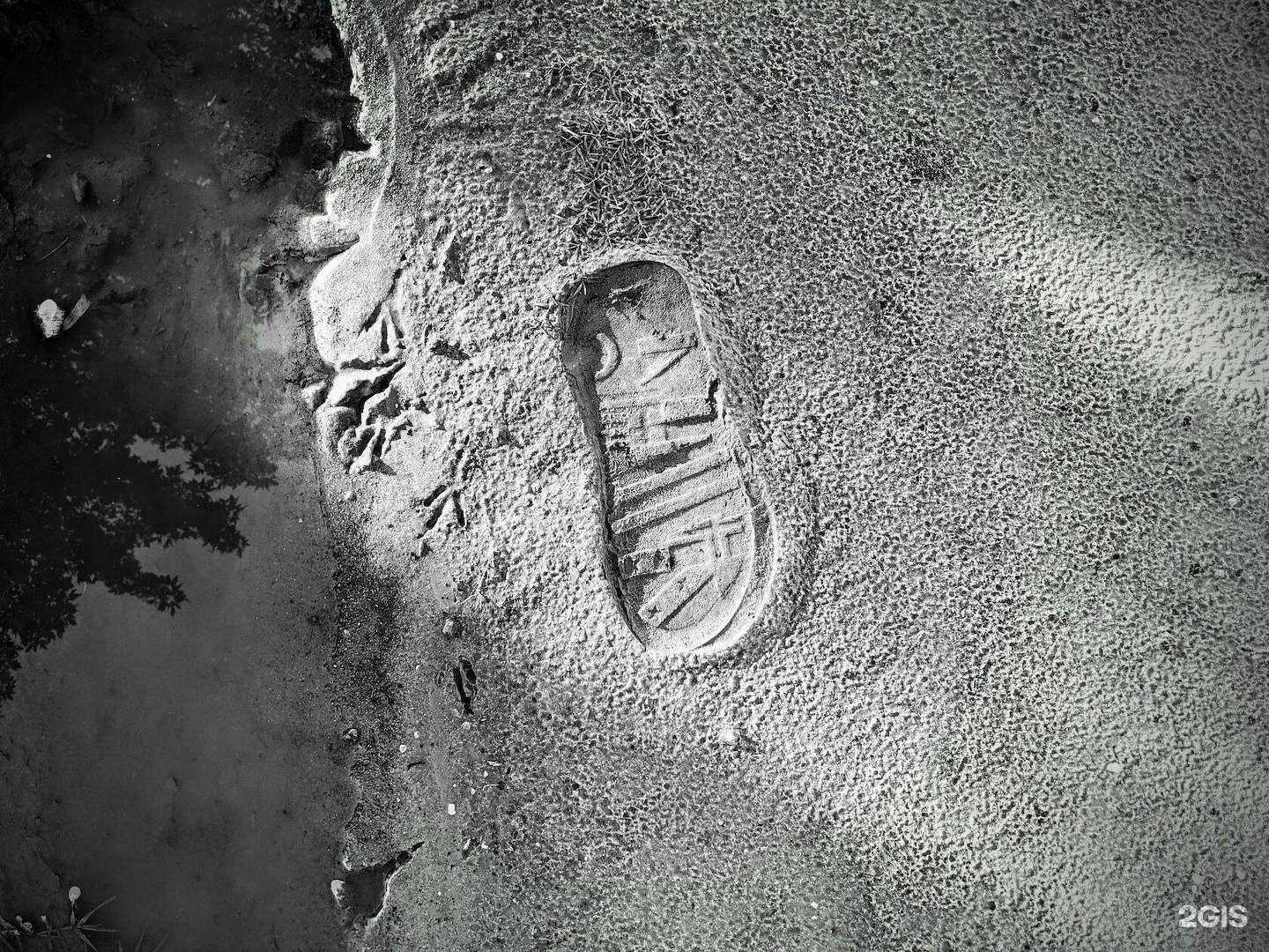 Отзывы на компанию Walrus в Морозовске c фото