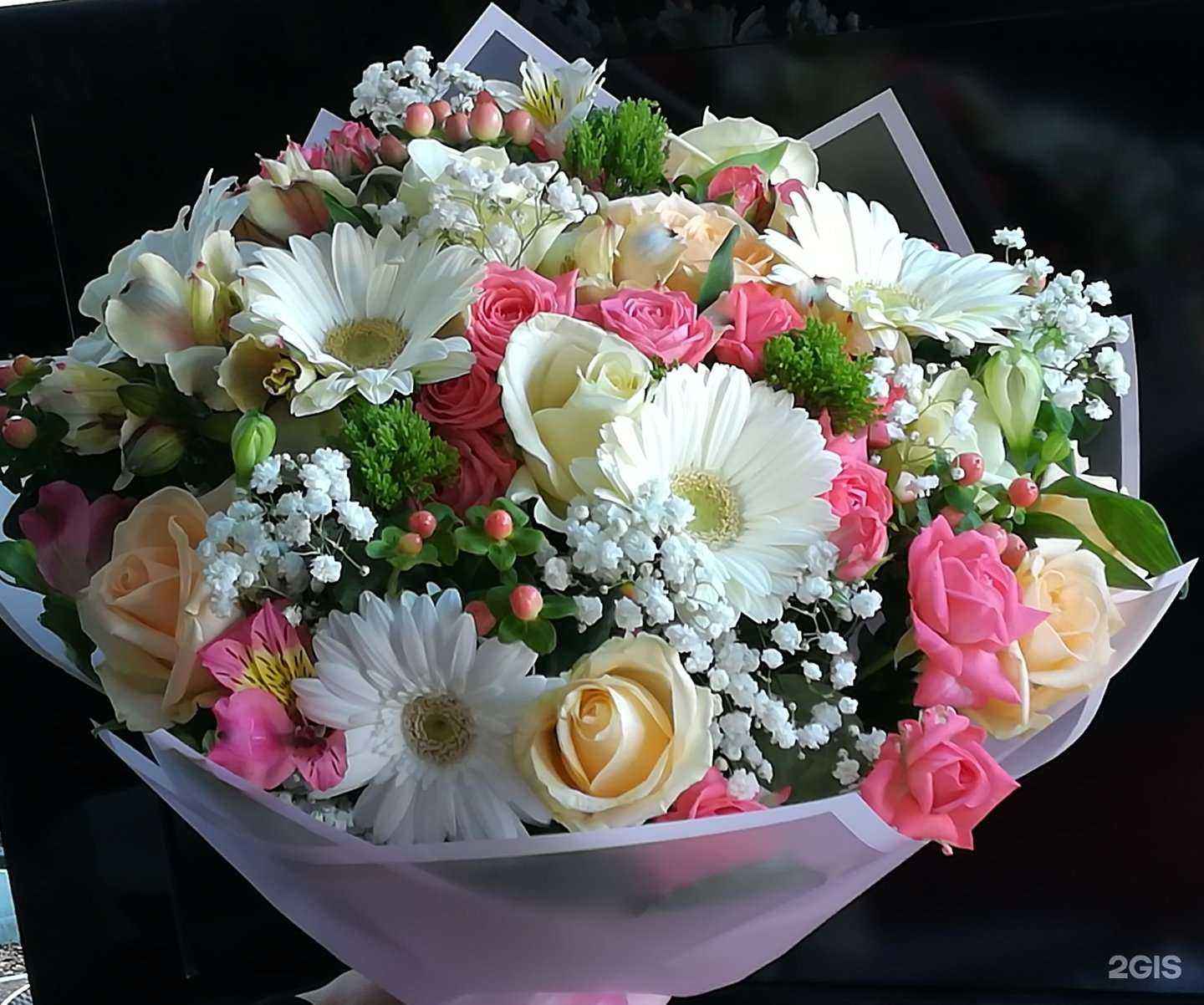 Отзывы на компанию Орхидея в Ставрополе c фото