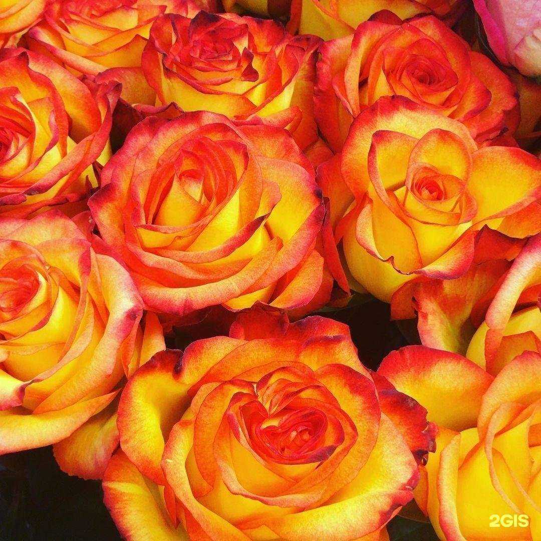 Отзывы на компанию Цветочный магазин в г. Балашиха c фото