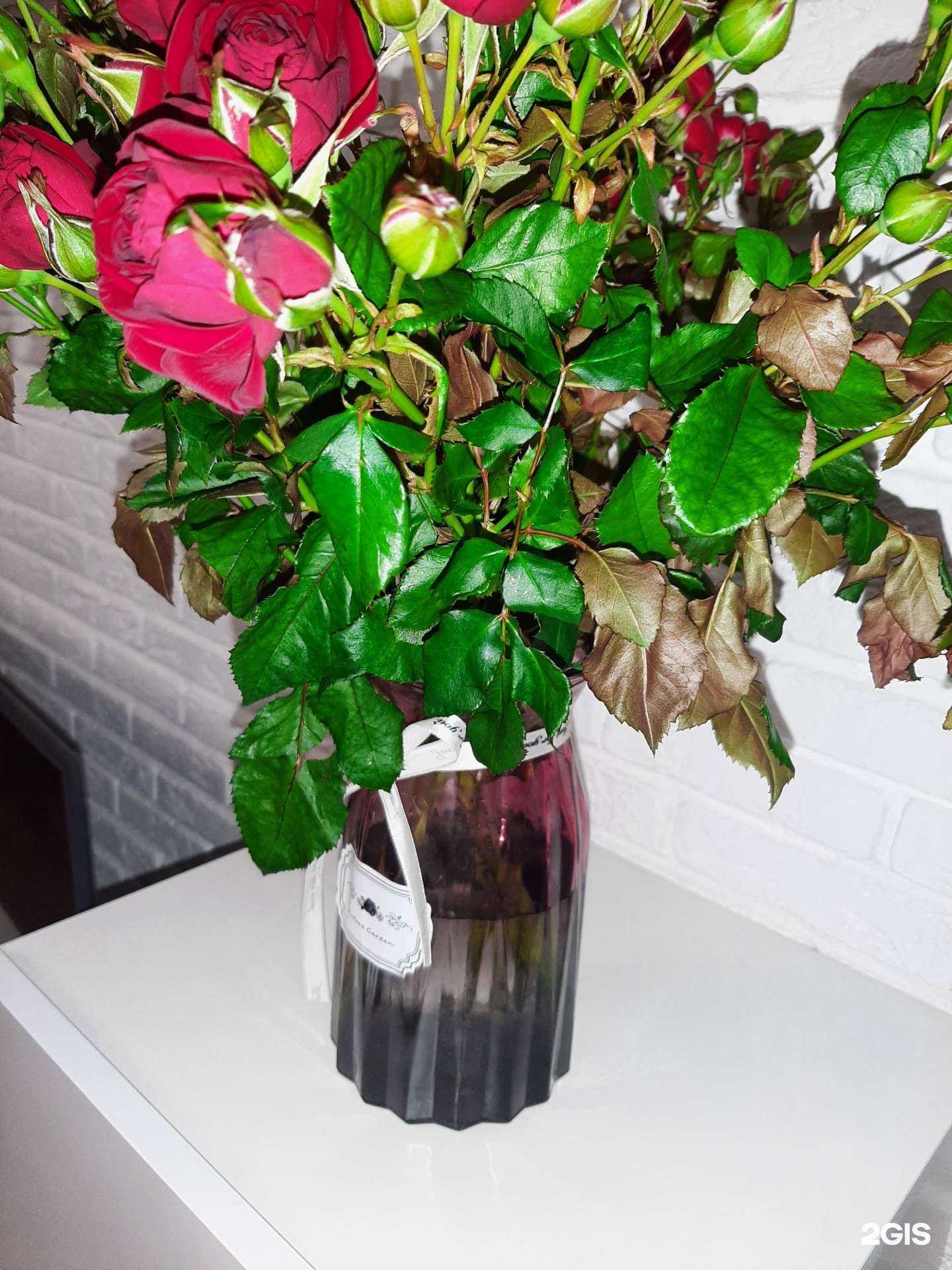 Отзывы на компанию Мир Цветов в Воронеже c фото