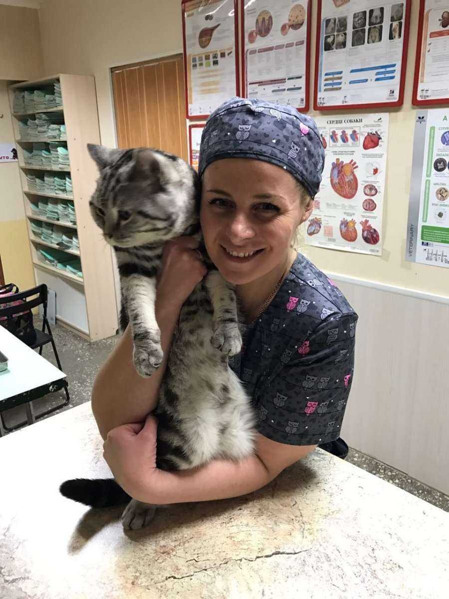 Отзывы на компанию Айк в г. Омск c фото