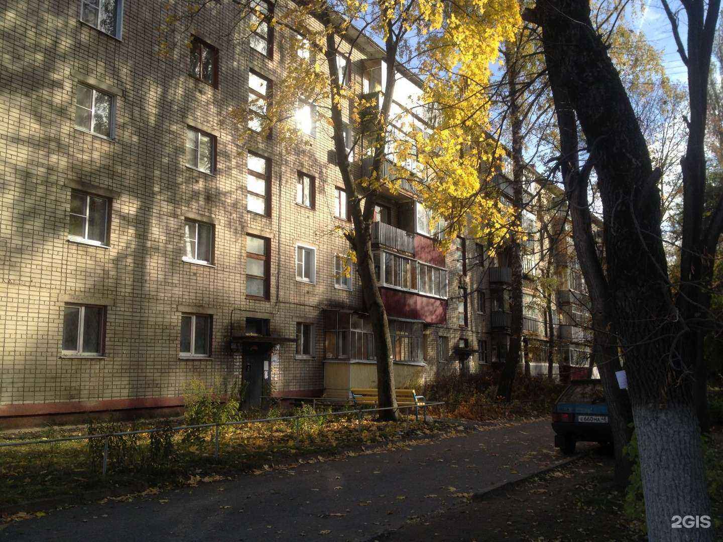 Отзывы на компанию 101 далматин в Липецке c фото - фотография 2 из 2