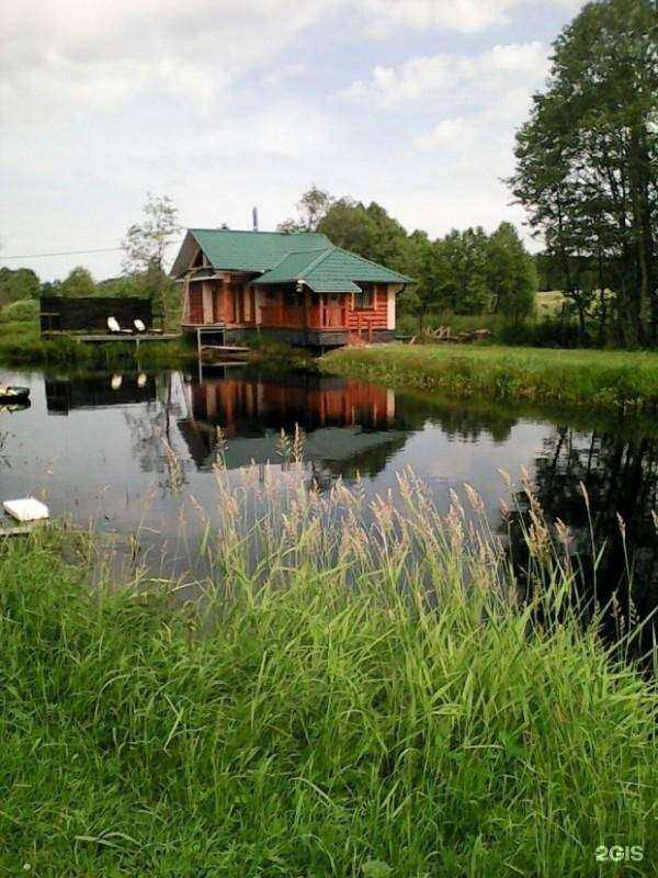 Отзывы на компанию Формула в Пензе c фото